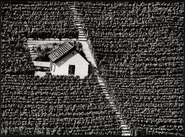 cca 1974 Gebhardt György (1910-1993) hagyatékából 2 db feliratozott vintage fotóművészeti alkotás, 2...