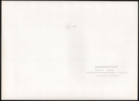 cca 1974 Gebhardt György (1910-1993) hagyatékából 2 db feliratozott vintage fotóművészeti alkotás, 2...