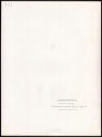 cca 1975 Gebhardt György (1910-1993) hagyatékából 3 db feliratozott vintage fotóművészeti alkotás, 3...