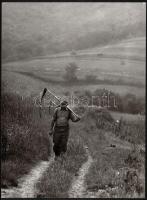 cca 1976 Zsigri Oszkár (1933-?) budapesti fotóművész hagyatékából 2 db vintage fotóművészeti alkotás, az egyik jelzett, 39x29 cm