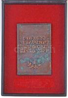 1970. "20 éves a Fővárosi Tanácsi Építőipar" Br plakett eredeti tokban(59x89mm) T:2 patina