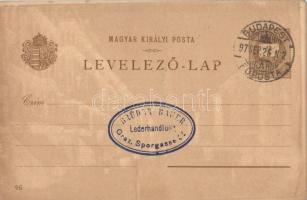 1897 Budapest, Ezredéves Országos Kiállítás, Jobb part, Királyi vár, Lánchíd, gőzhajók, 2 Kr barna G...