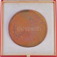 1981. "Budapest Sportcsarnok 1978-1981" Br emlékplakett, hátoldala gravírozva, eredeti tok...