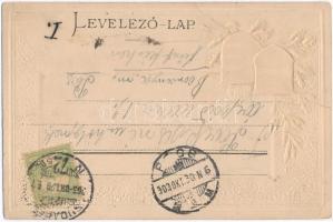 Budapest VII. Keleti (Központi) pályaudvar. Címeres Emb. litho (b)