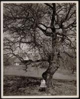 cca 1936 Czvek Gyula 2 db pecséttel jelzett, vintage fotóművészeti alkotása, 30x24 cm