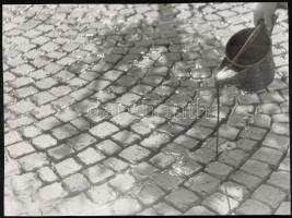 cca 1975 Kortárs fotóművészeti alkotások, 3 db feliratozott vintage fotó, 39x27 cm és 31x24 cm közöt...