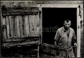 cca 1975 Kortárs fotóművészeti alkotások, 3 db feliratozott vintage fotó, 39x27 cm és 31x24 cm közöt...