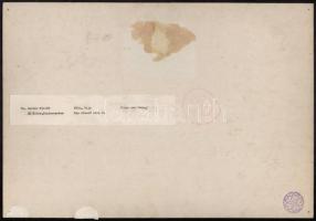 cca 1975 Kortárs fotóművészeti alkotások, 3 db feliratozott vintage fotó, 39x27 cm és 31x24 cm közöt...