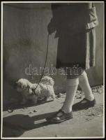 cca 1936 Osoha László (?-?): Kislány kiskutyával, jelzés nélküli vintage fotóművészeti alkotás a szerző hagyatékából, 40x30 cm