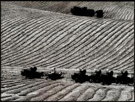 cca 1970 Gebhardt György (1910-1993): Mezőgazdaság, 2 db feliratozott, vintage fotóművészeti alkotás, 30x40 cm
