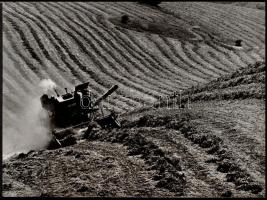 cca 1970 Gebhardt György (1910-1993): Mezőgazdaság, 2 db feliratozott, vintage fotóművészeti alkotás...