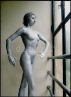 cca 1989 Menesdorfer Lajos (1941-2005): Bádogember, feliratozott, vintage fotóművészeti alkotás, 40x30 cm