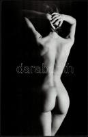 cca 1977 Menesdorfer Lajos (1941-2005) pecséttel jelzett, 2 db vintage fotóművészeti alkotása, 40x26 cm és 40x30 cm