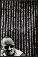 cca 1975 Kortárs fotóművészeti alkotások, 3 db jelzett, feliratozott vintage fotó, kettő kasírozva, ...