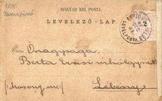 1898 Tarcsafürdő, Bad Tatzmannsdorf; Miksa és Károly forrás, Gyógytér, Karolina villa, Forrás épület...