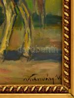 Kolozsváry Kamilló (1936 - 2008): Csíkós a méneskútnál. Olaj, farost, jelzett, keretben, 34×42 cm