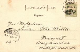 Bród, Brod na Savi, Slavonski Brod; Ferenc József utca,  gyógyszertár, Samuel Mautner és C. Bencevic...