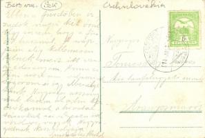 Szklenófürdő, Sklené Teplice; Úri fürdő és gyógyszertár / gentry spa and pharmacy