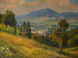 Gyelmis Lukács János (1899-1979): Kilátás a hegyről. Olaj, vászon, jelzett, keretben, 60×80 cm