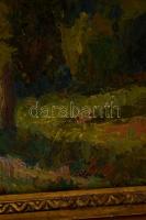 Gyelmis Lukács János (1899-1979): Kilátás a hegyről. Olaj, vászon, jelzett, keretben, 60×80 cm