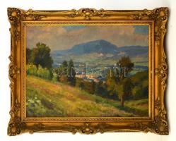 Gyelmis Lukács János (1899-1979): Kilátás a hegyről. Olaj, vászon, jelzett, keretben, 60×80 cm