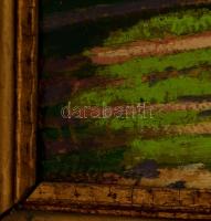 Litteczky Endre (1880-1953): Tavaszi napsütés. Olaj, karton, jelzett, keretben, 70×98 cm