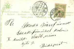 Ruttka, Vrutky; Pályaudvarhoz (vasútállomás) vezető út, Schicht-féle szappan reklámja. Feitzinger Ed...