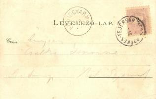 1898 Székesfehérvár, Vörösmarty szobor, püspöki palota, megyeház, színház, Nádor utca, Köhler Péter ...