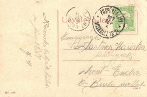 Szerencs, Rákóczi út, Schirmer és Neuválder és Mózes Adolf üzlete. No. 1142.  (EK)