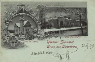 1898 Sopron, Oedenburg; Dr. Lenck és Flandorffer Villák télen. Kummert N. Lajos Art Nouveau (EK)