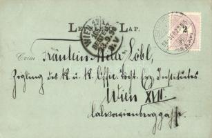 1898 Sopron, Oedenburg; Dr. Lenck és Flandorffer Villák télen. Kummert N. Lajos Art Nouveau (EK)