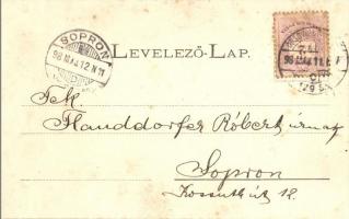 1898 Nagykőrös, Középpiac és Deák tér, Református és római katolikus templom, Városi szálloda, népba...