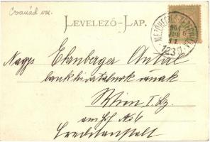 Mezőhegyes, Központi szálloda. Art Nouveau. Cservintzky István kiadása  (EK)