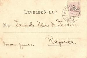 1898 Kaposvár, Közös hadsereg laktanyája, Iparudvar, Cukorgyár, Takarékpénztár; floral Art Nouveau l...