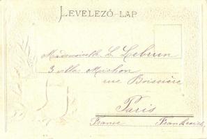 Győr, Városháza, Passepartoutkarte Nitsmann J., címeres, Emb. litho (EK)