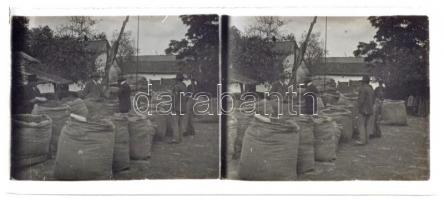 cca 1928 Termények a tanya udvarán, 1 db sztereo üveglemez diapozitív képpár, 6x13 cm