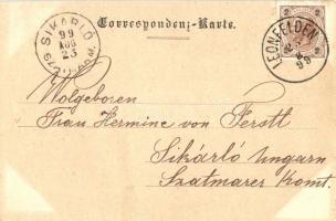 1899 Bad Leonfelden, Markt-Platz, Kaiser Jubiläums Quelle in Steinwald / spring, market square, flor...