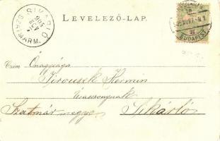 Kőrösmező, Yasinia, Jassinja; Római katolikus templom, papi lak. Rosenblüth Emanuel tulajdona / Roma...