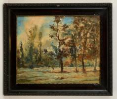 Péczely Antal (1891-?):  Tavaszi földmunkák.  Olaj, vászon, jelzett, keretben, 32×39 cm