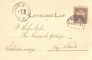 Mátrafüred, Bene nyaraló és vendéglő. Máthé S. E. kiadása