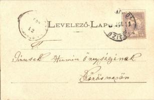 Szlatinafüred, Slatina; Pável sósfürdő. Mayer és Berger / spa (EK)