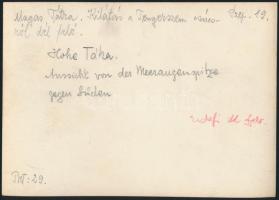 cca 1910 Magas-Tátra, kilátás a Tengerszem-csúcsról dél felé, Erdélyi Mór felvétele, hátulján felira...