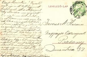 Huszt, Chust; Vámhíd / customs bridge (EK)