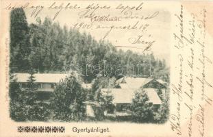Gyertyánliget, Polyána-Gyertyánliget (Máramaros), Kobyletska Poliana; fürdő. Mayer és Berger kiadása / spa
