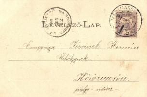 Bréb (Máramaros), fürdő étterem. Mayer és Berger kiadása / spa restaurant