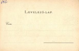 Selmecbánya, Schemnitz, Banska Stiavnica; Királyi katolikus nagygimnázium. Joerges A. özv. és fia / ...