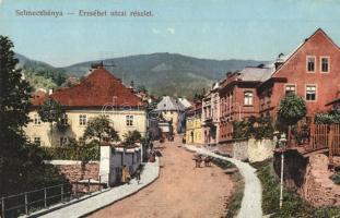 Selmecbánya, Schemnitz, Banska Stiavnica; Erzsébet utca. Joerges / street view