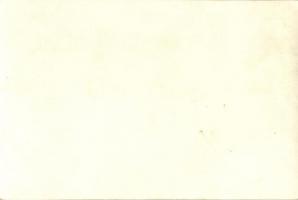 1928 Vienna, Wien; X. Deutsches Bundes Sängerfest, Festzug / 10th German Federal Song Festival - 27 ...