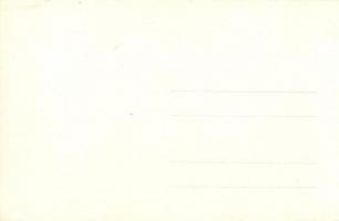 1928 Vienna, Wien; X. Deutsches Bundes Sängerfest, Festzug / 10th German Federal Song Festival - 27 ...