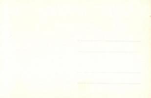 1928 Vienna, Wien; X. Deutsches Bundes Sängerfest, Festzug / 10th German Federal Song Festival - 27 ...